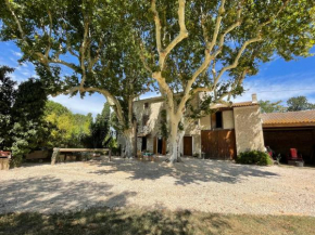 Mas provençal Alpilles Camargue